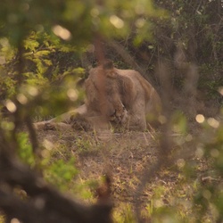 2015-05 South Africa/iMfolozi/DSC_0191.JPG